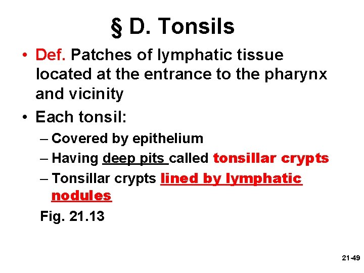 § D. Tonsils • Def. Patches of lymphatic tissue located at the entrance to