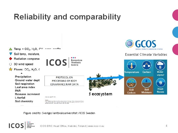 Reliability and comparability Essential Climate Variables Scrubland ecosystem Figure credits: Sveriges lantbruksuniversitet /ICOS Sweden