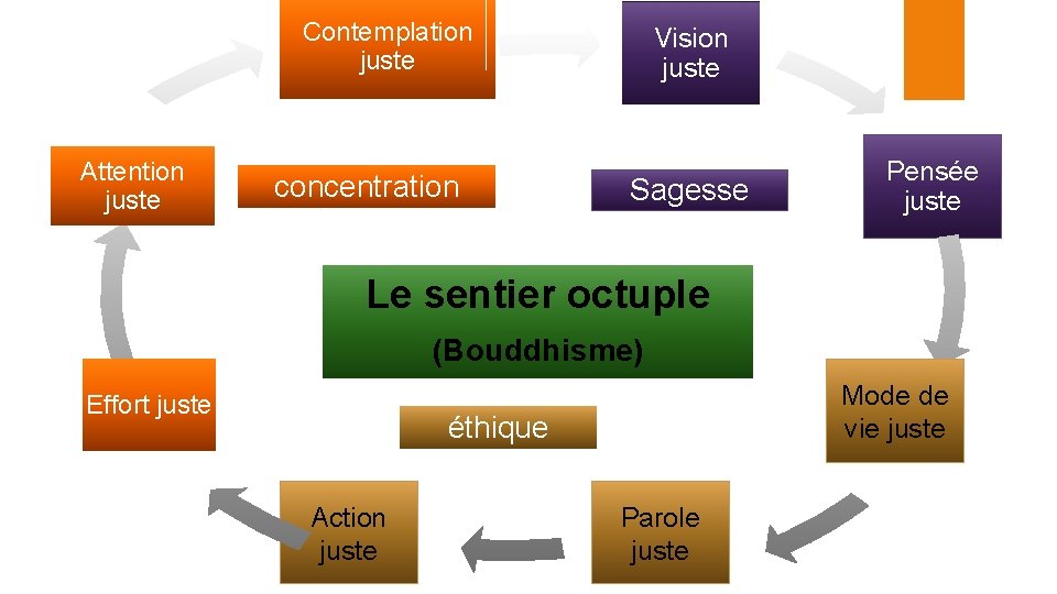 Contemplation juste Attention juste concentration Vision juste Sagesse Pensée juste Le sentier octuple (Bouddhisme)