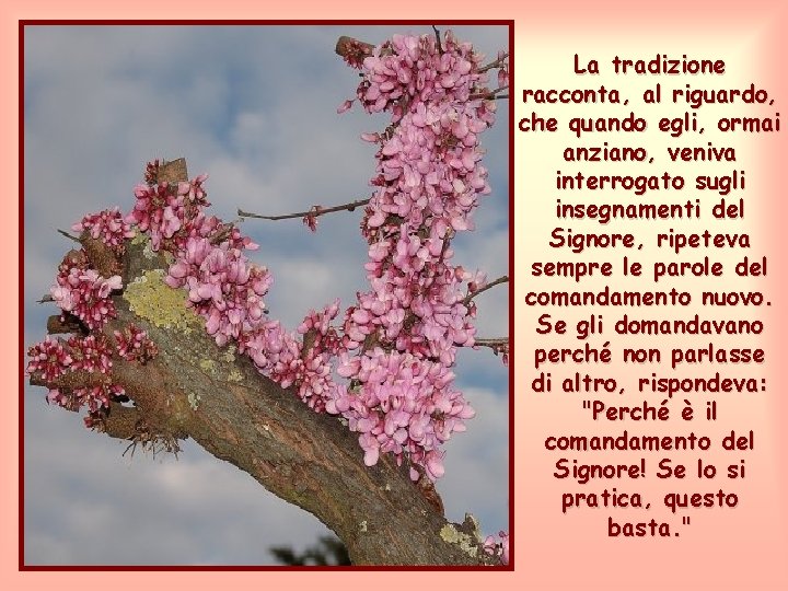 La tradizione racconta, al riguardo, che quando egli, ormai anziano, veniva interrogato sugli insegnamenti