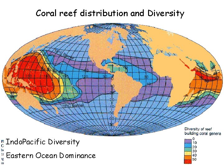 Coral reef distribution and Diversity Indo. Pacific Diversity Eastern Ocean Dominance 