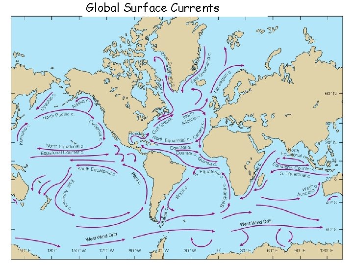 Global Surface Currents 