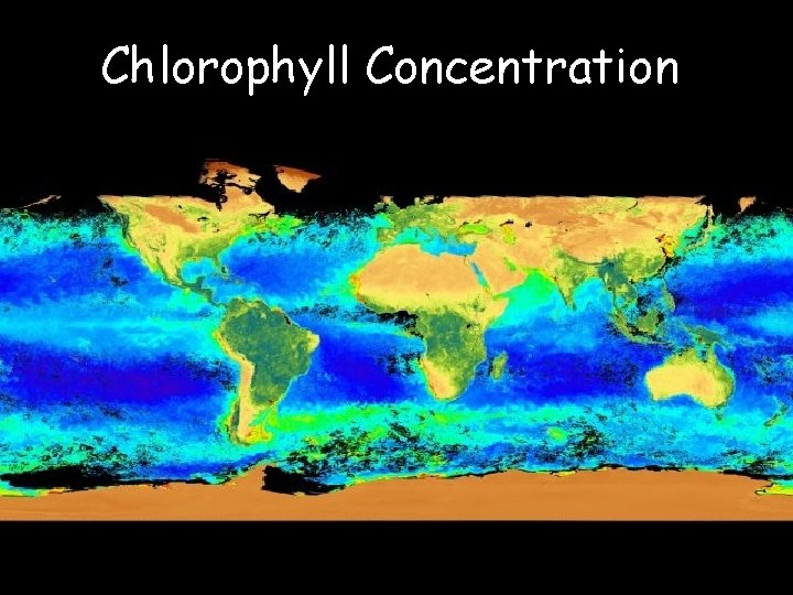 Chlorophyll Concentration 