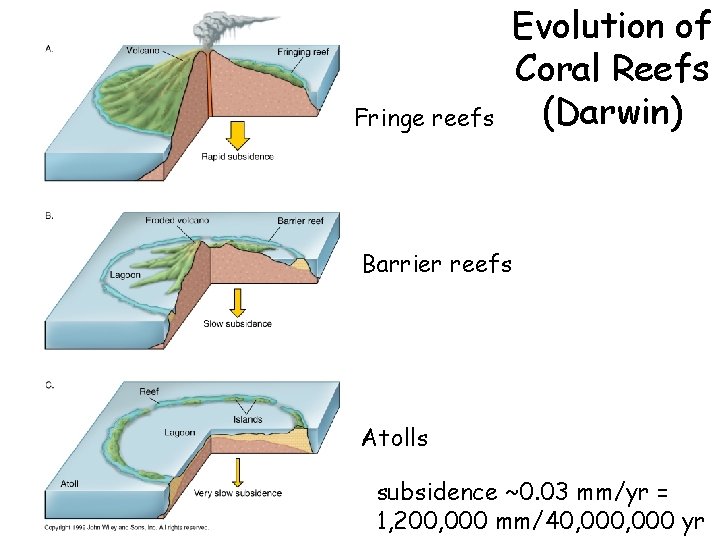 Fringe reefs Evolution of Coral Reefs (Darwin) Barrier reefs Atolls subsidence ~0. 03 mm/yr