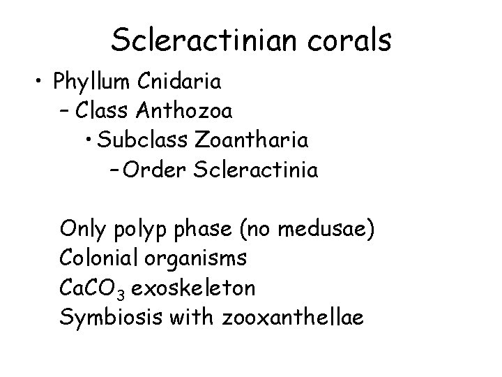 Scleractinian corals • Phyllum Cnidaria – Class Anthozoa • Subclass Zoantharia – Order Scleractinia