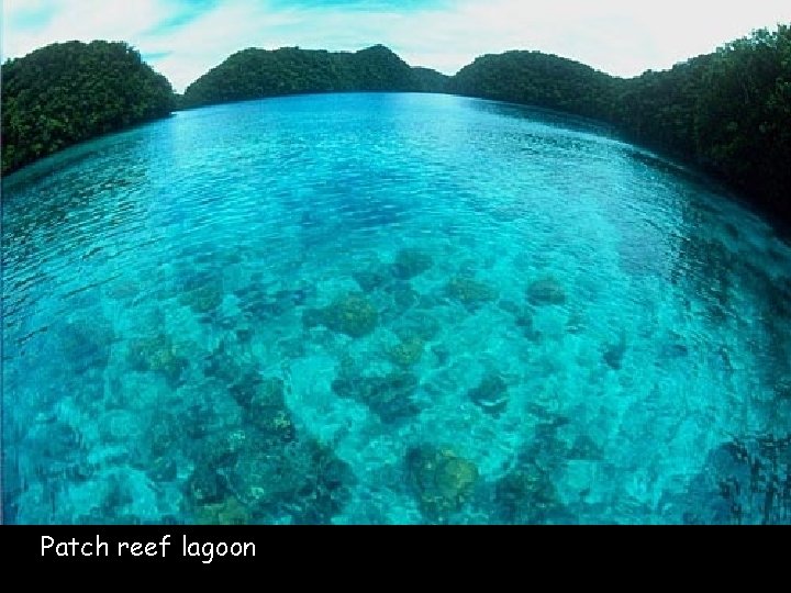 Patch reef lagoon 