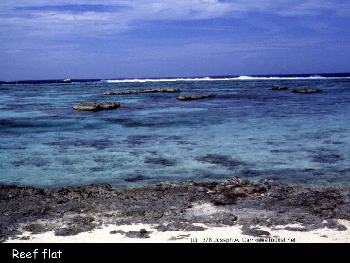 Reef flat 