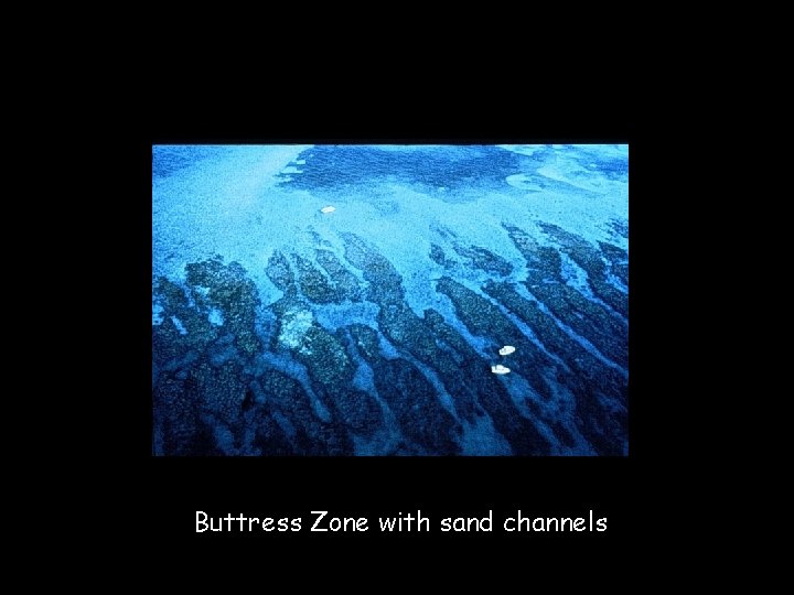 Buttress Zone with sand channels 