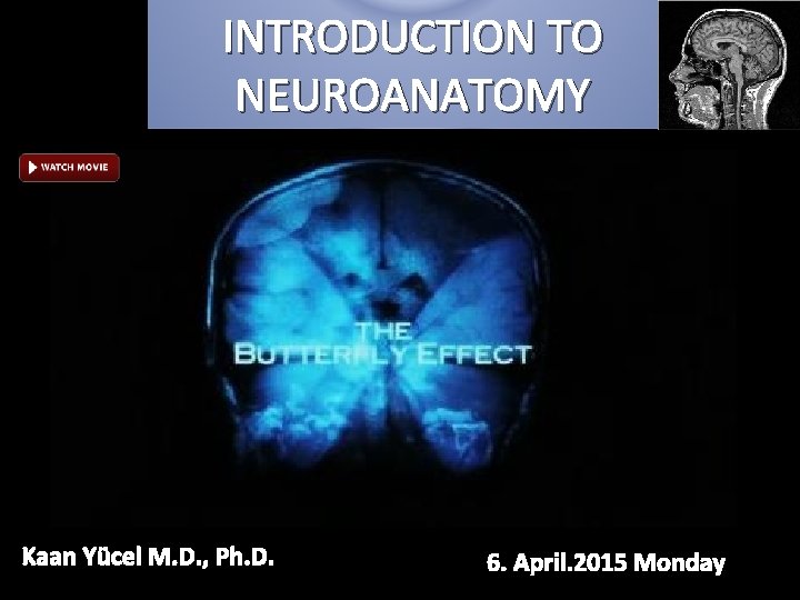 INTRODUCTION TO NEUROANATOMY Kaan Yücel M. D. , Ph. D. 6. April. 2015 Monday