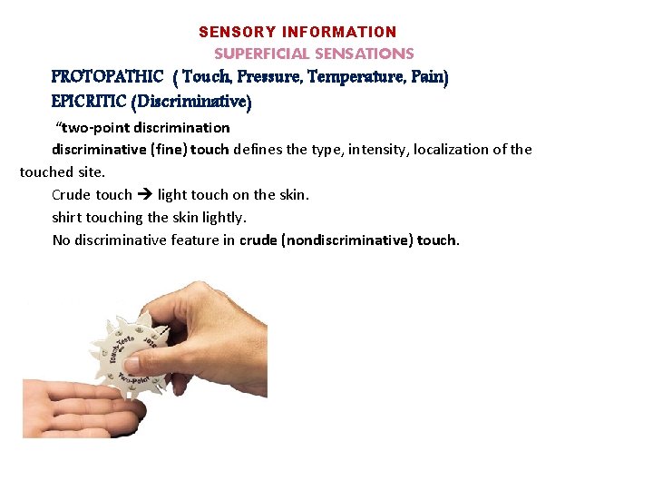 SENSORY INFORMATION SUPERFICIAL SENSATIONS PROTOPATHIC ( Touch, Pressure, Temperature, Pain) EPICRITIC (Discriminative) “two-point discrimination