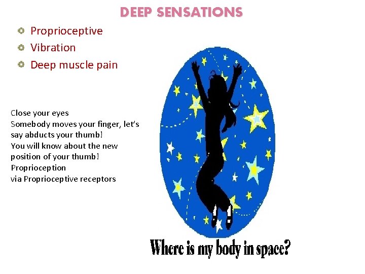 DEEP SENSATIONS Proprioceptive Vibration Deep muscle pain Close your eyes Somebody moves your finger,