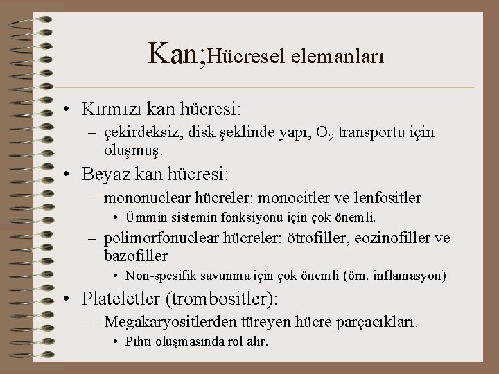 Kan; Hücresel elemanları • Kırmızı kan hücresi: – çekirdeksiz, disk şeklinde yapı, O 2
