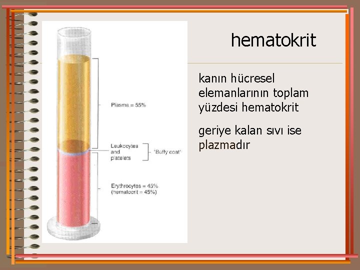 hematokrit kanın hücresel elemanlarının toplam yüzdesi hematokrit geriye kalan sıvı ise plazmadır 