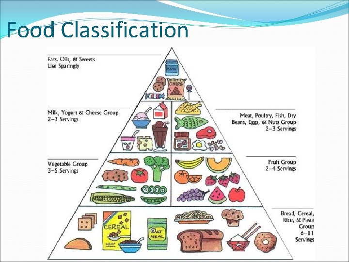 Food Classification Food Classification