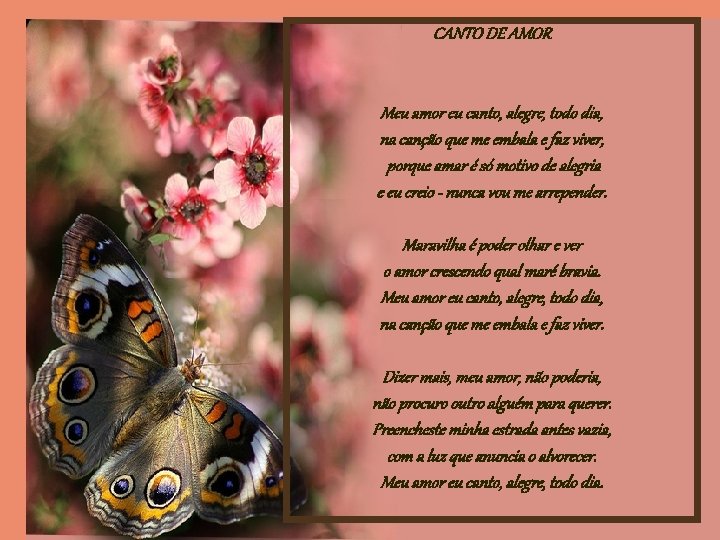 CANTO DE AMOR Meu amor eu canto, alegre, todo dia, na canção que me