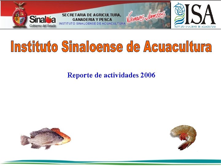 SECRETARIA DE AGRICULTURA, GANADERIA Y PESCA INSTITUTO SINALOENSE DE ACUACULTURA Reporte de actividades 2006