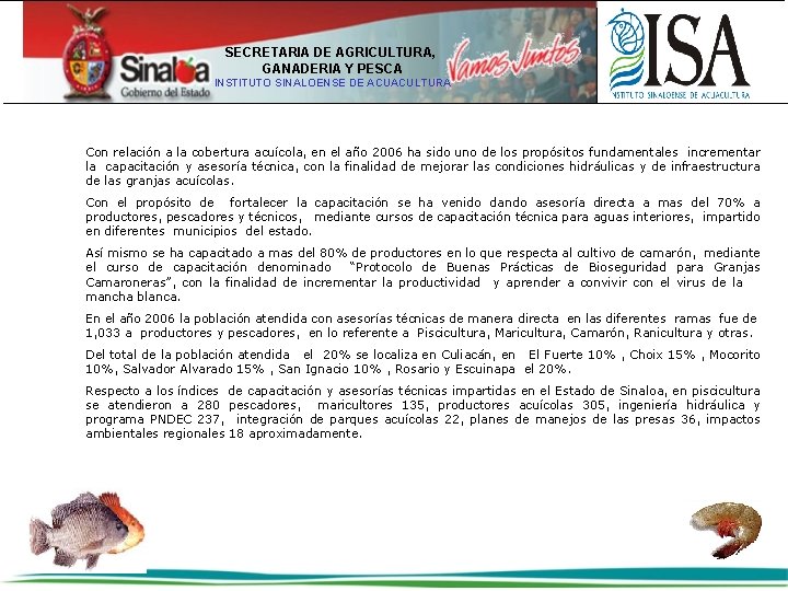 SECRETARIA DE AGRICULTURA, GANADERIA Y PESCA INSTITUTO SINALOENSE DE ACUACULTURA Con relación a la