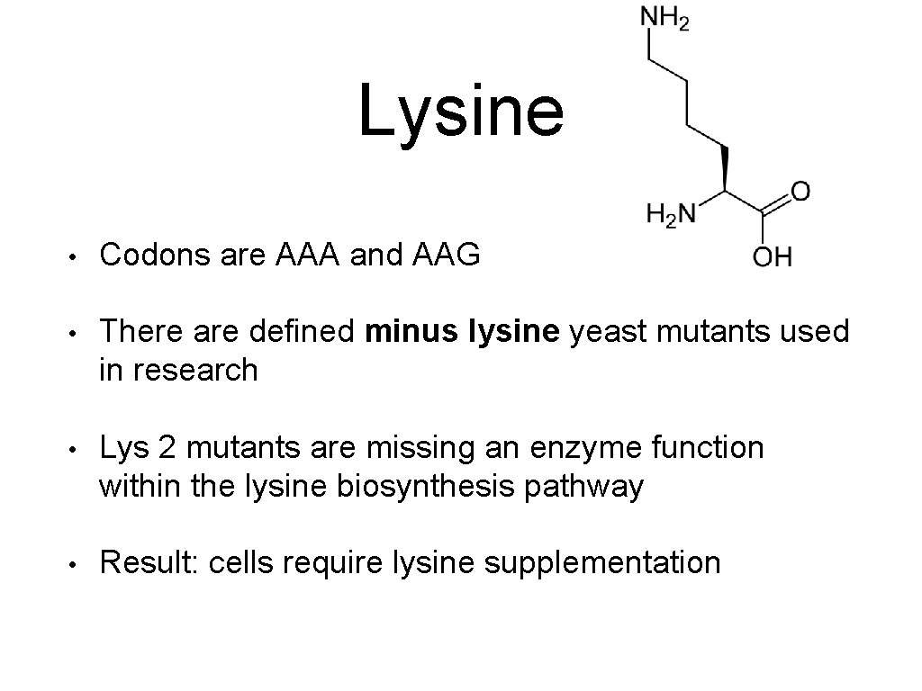 Lysine • Codons are AAA and AAG • There are defined minus lysine yeast