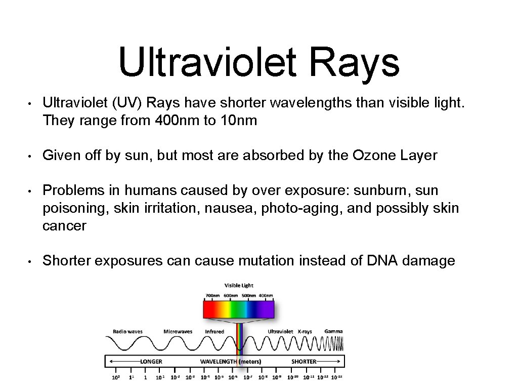 Ultraviolet Rays • Ultraviolet (UV) Rays have shorter wavelengths than visible light. They range