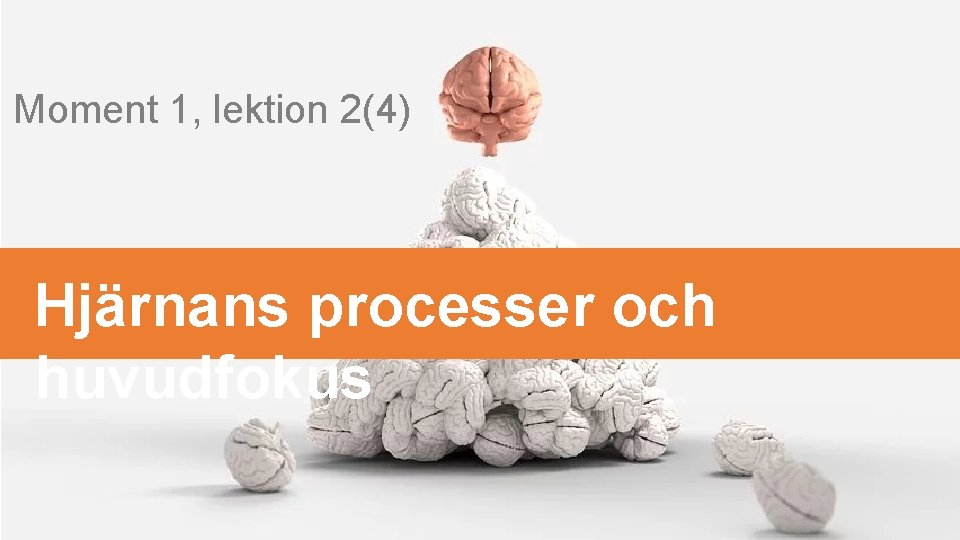 Moment 1, lektion 2(4) Hjärnans processer och huvudfokus 