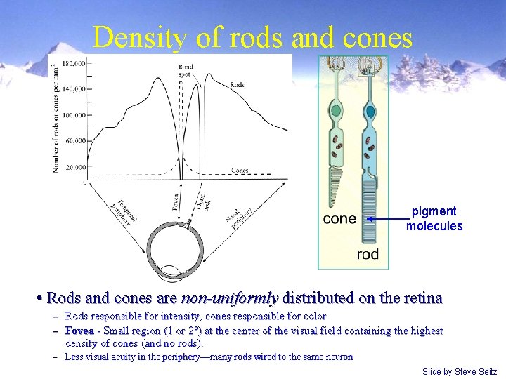 Density of rods and cones pigment molecules • Rods and cones are non-uniformly distributed Density of rods and cones pigment molecules • Rods and cones are non-uniformly distributed