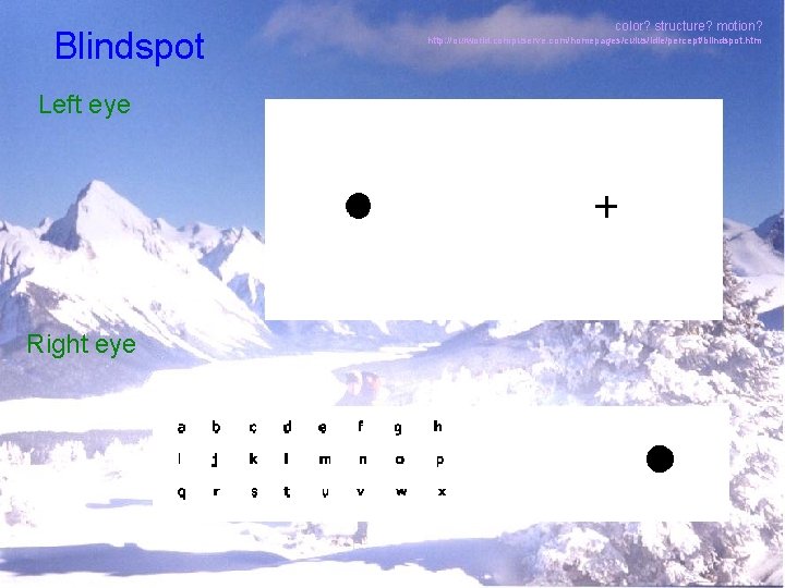 Blindspot Left eye Right eye color? structure? motion? http: //ourworld. compuserve. com/homepages/cuius/idle/percept/blindspot. htm Blindspot Left eye Right eye color? structure? motion? http: //ourworld. compuserve. com/homepages/cuius/idle/percept/blindspot. htm