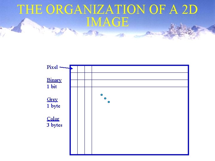 THE ORGANIZATION OF A 2 D IMAGE Pixel Binary 1 bit Grey 1 byte THE ORGANIZATION OF A 2 D IMAGE Pixel Binary 1 bit Grey 1 byte