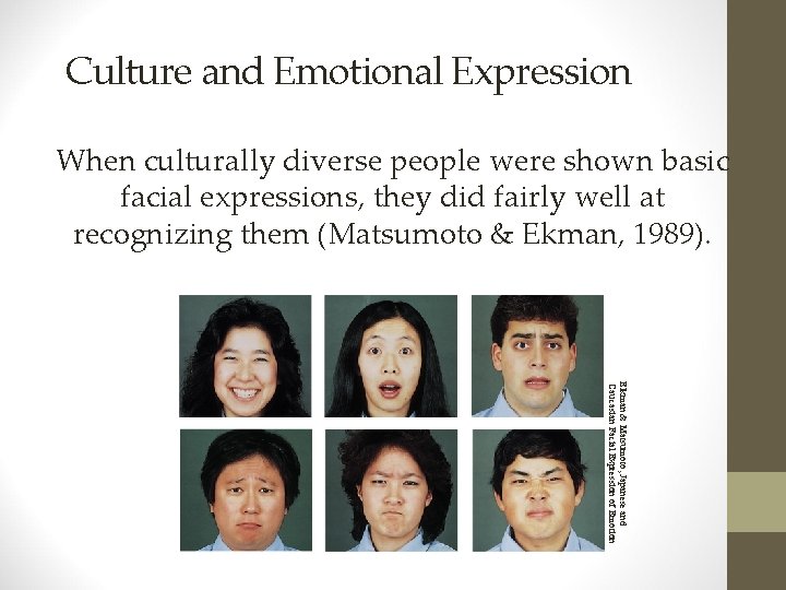 Culture and Emotional Expression When culturally diverse people were shown basic facial expressions, they