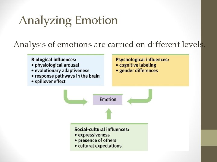 Analyzing Emotion Analysis of emotions are carried on different levels. 