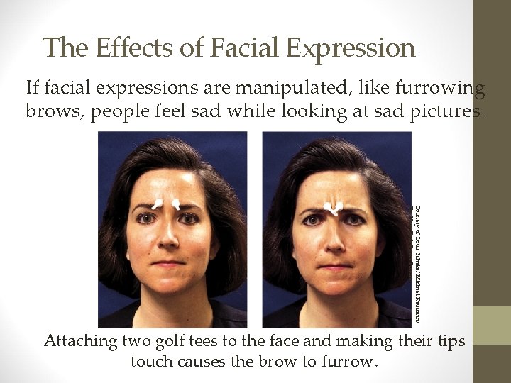 The Effects of Facial Expression If facial expressions are manipulated, like furrowing brows, people