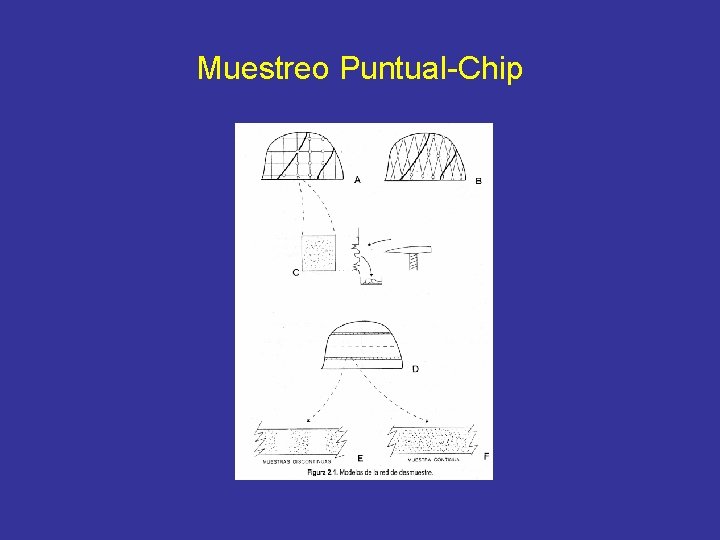 Muestreo Puntual-Chip 