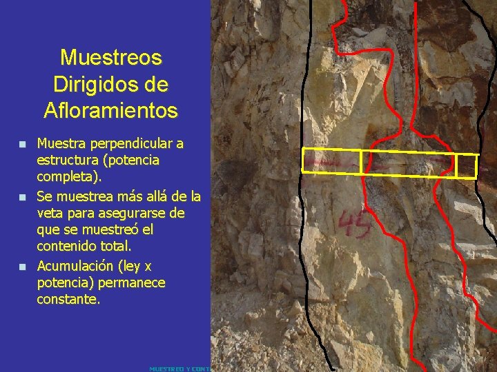 Muestreos Dirigidos de Afloramientos Muestra perpendicular a estructura (potencia completa). n Se muestrea más