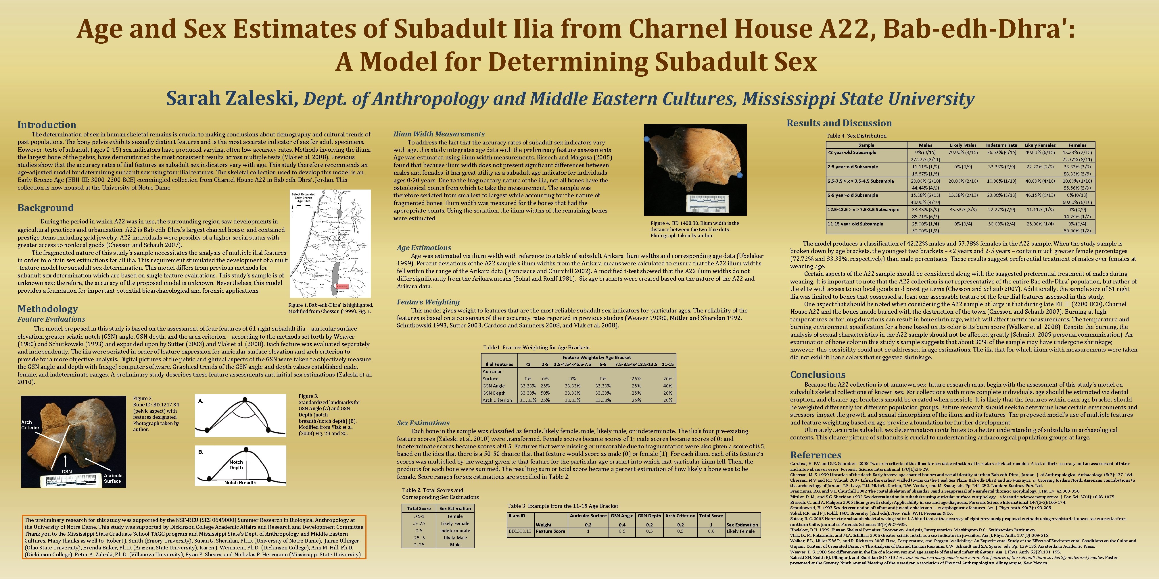 Age and Sex Estimates of Subadult Ilia from Charnel House A 22, Bab-edh-Dhra': A
