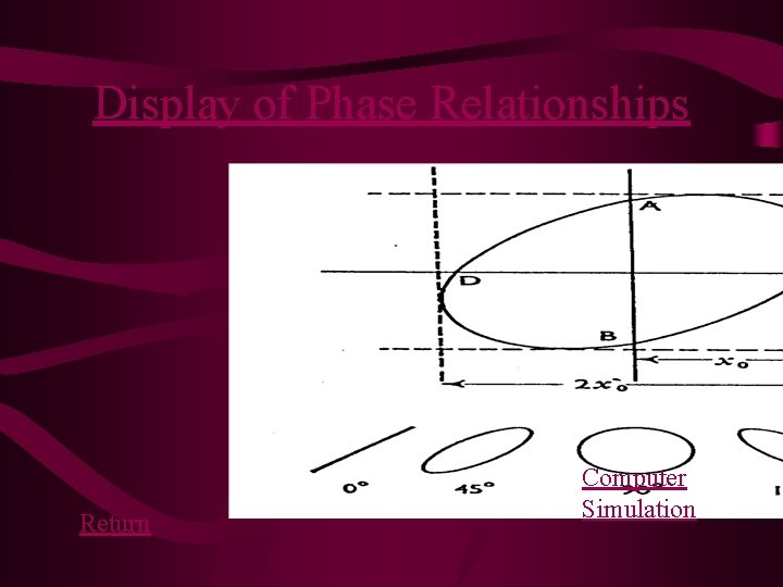 Display of Phase Relationships Return Computer Simulation 