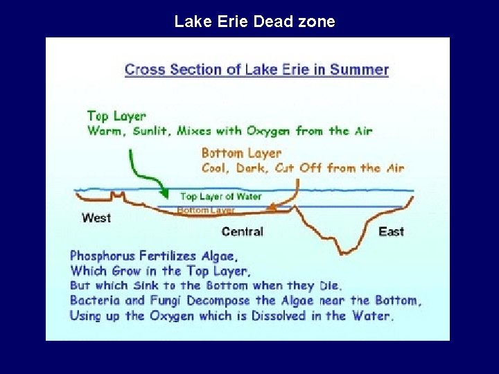 Lake Erie Dead zone 
