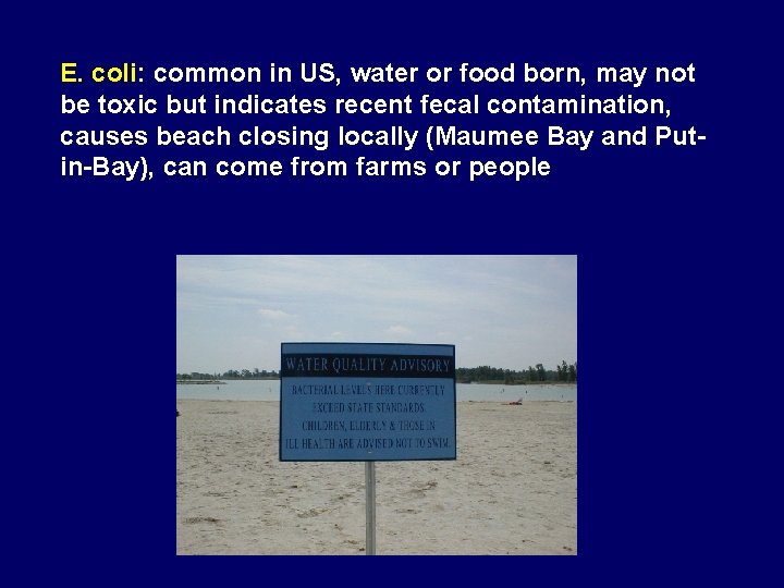 E. coli: common in US, water or food born, may not be toxic but