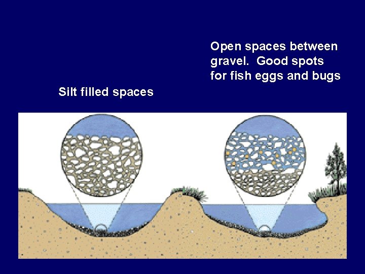 Open spaces between gravel. Good spots for fish eggs and bugs Silt filled spaces