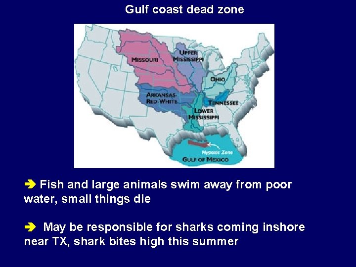 Gulf coast dead zone Fish and large animals swim away from poor water, small