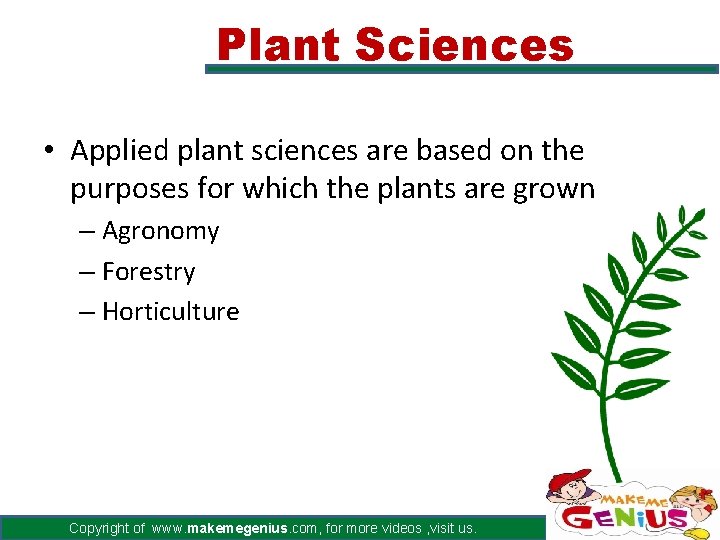 Plant Sciences • Applied plant sciences are based on the purposes for which the