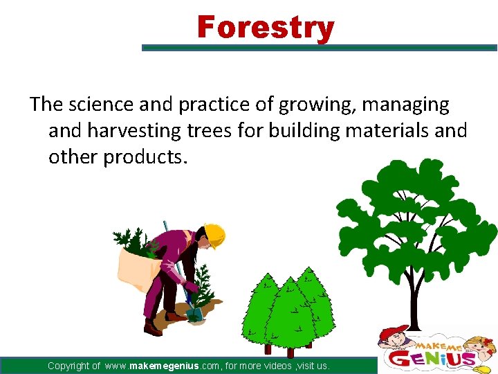 Forestry The science and practice of growing, managing and harvesting trees for building materials