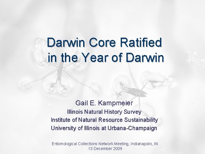 Darwin Core Ratified in the Year of Darwin Gail E. Kampmeier Illinois Natural History