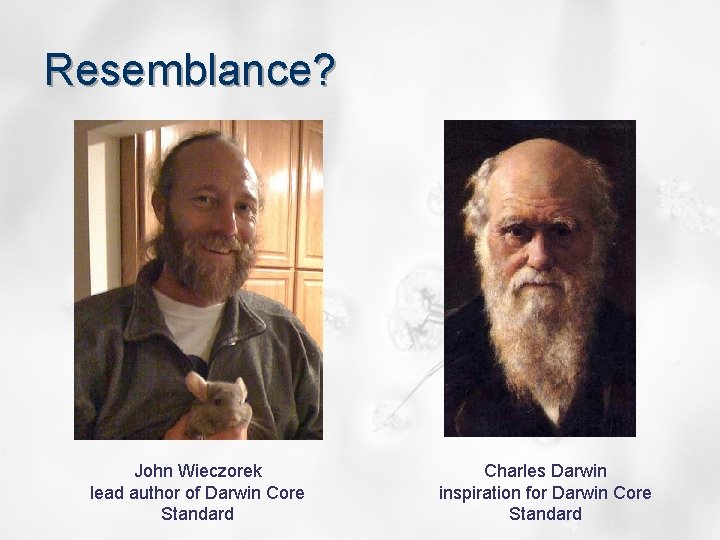 Resemblance? John Wieczorek lead author of Darwin Core Standard Charles Darwin inspiration for Darwin