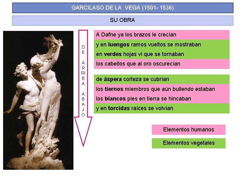 GARCILASO DE LA VEGA (1501 - 1536) SU OBRA A Dafne ya los brazos GARCILASO DE LA VEGA (1501 - 1536) SU OBRA A Dafne ya los brazos
