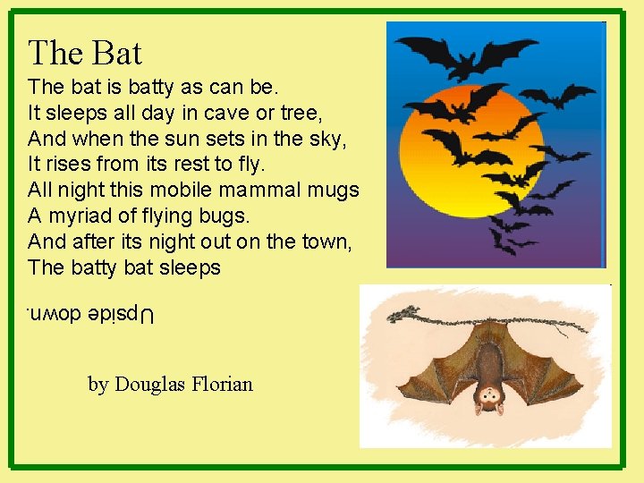 The Bat The bat is batty as can be. It sleeps all day in