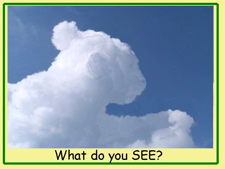What do you SEE? 
