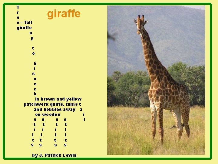 T r e e – tall giraffe u p giraffe t o h i