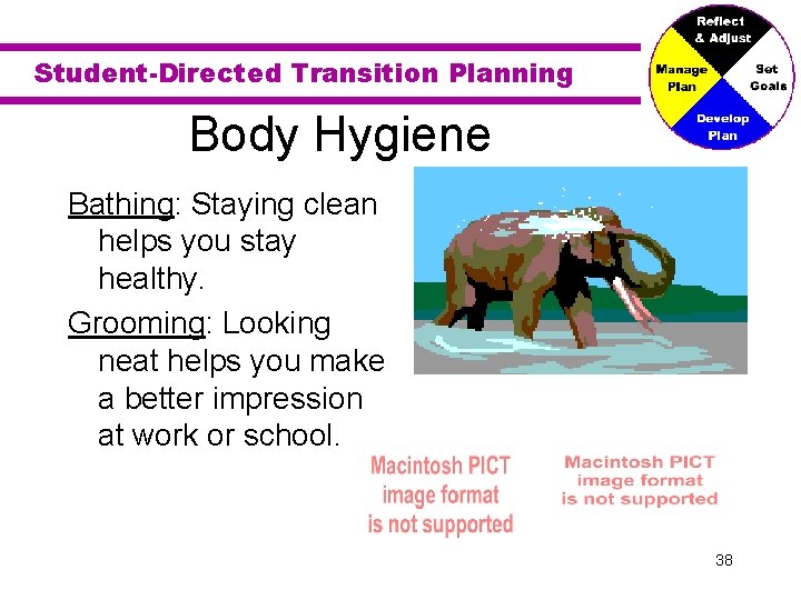 Student-Directed Transition Planning Body Hygiene Bathing: Staying clean helps you stay healthy. Grooming: Looking