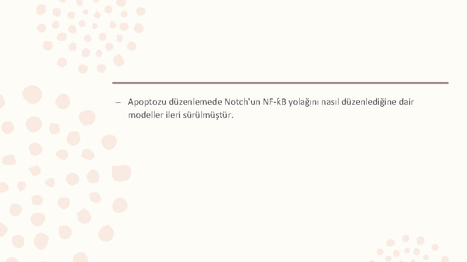 – Apoptozu düzenlemede Notch'un NF-ƙB yolağını nasıl düzenlediğine dair modeller ileri sürülmüştür. 