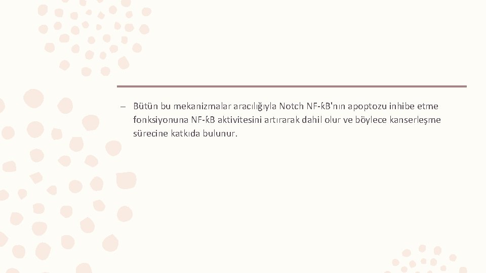 – Bütün bu mekanizmalar aracılığıyla Notch NF-ƙB'nın apoptozu inhibe etme fonksiyonuna NF-ƙB aktivitesini artırarak