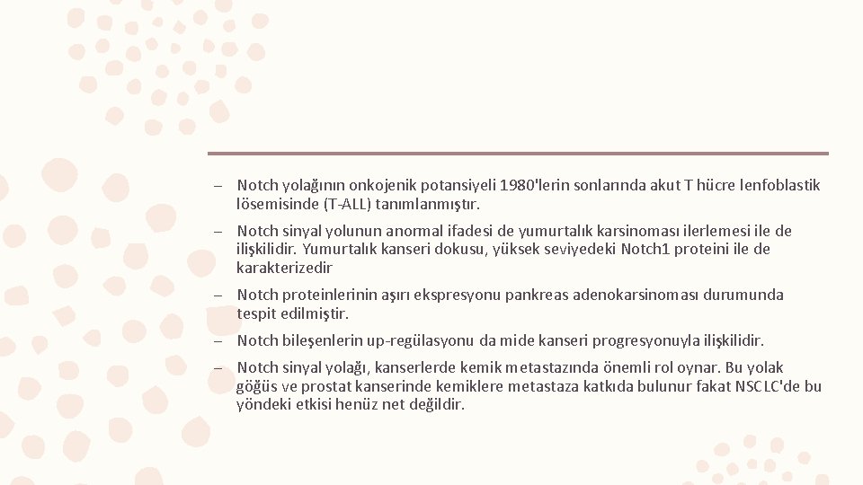 – Notch yolağının onkojenik potansiyeli 1980'lerin sonlarında akut T hücre lenfoblastik lösemisinde (T-ALL) tanımlanmıştır.